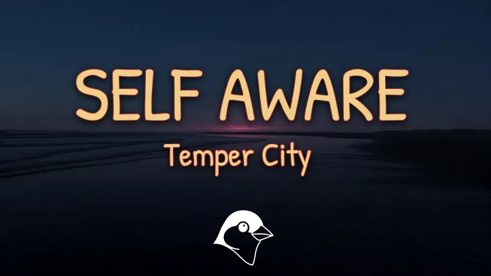 Understanding Self Aware Lyrics in Temper City's Song